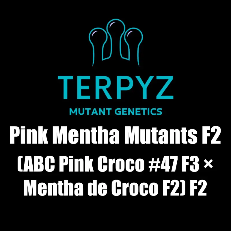 Pink Mentha Mutants F2