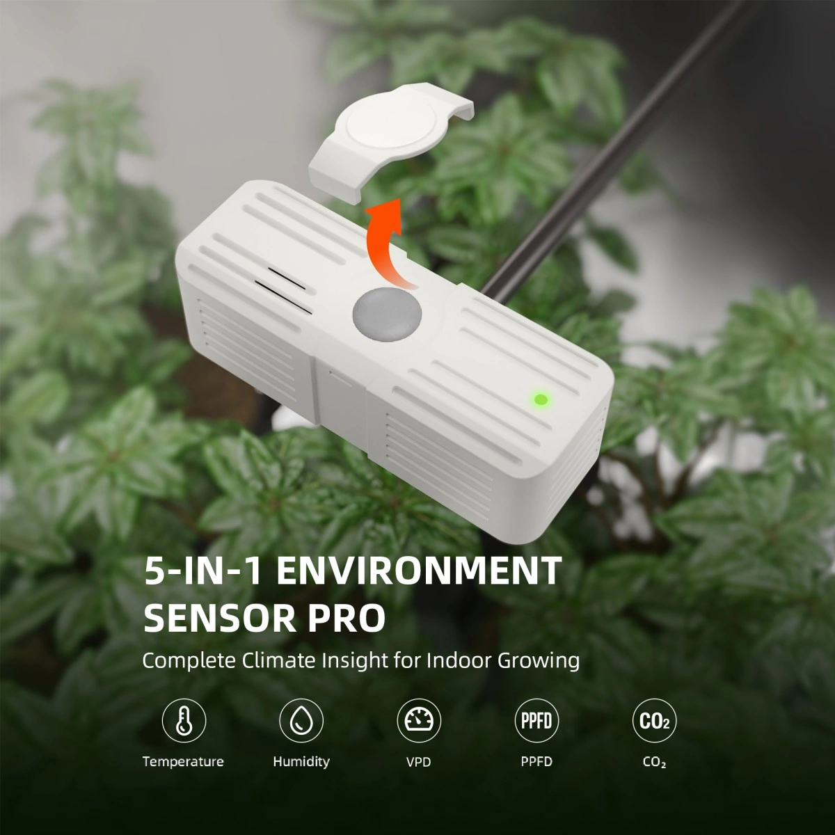 Premium Smart Grow Komplettset 100 × 100 cm – SE5000 & GGS Klimasteuerung