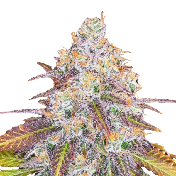 Diamond Cookies
