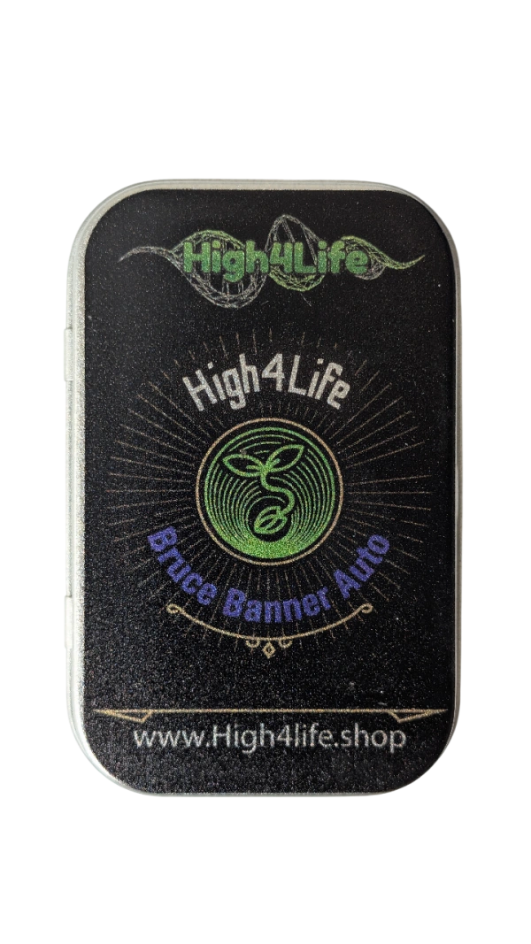 Bruce Banner Auto