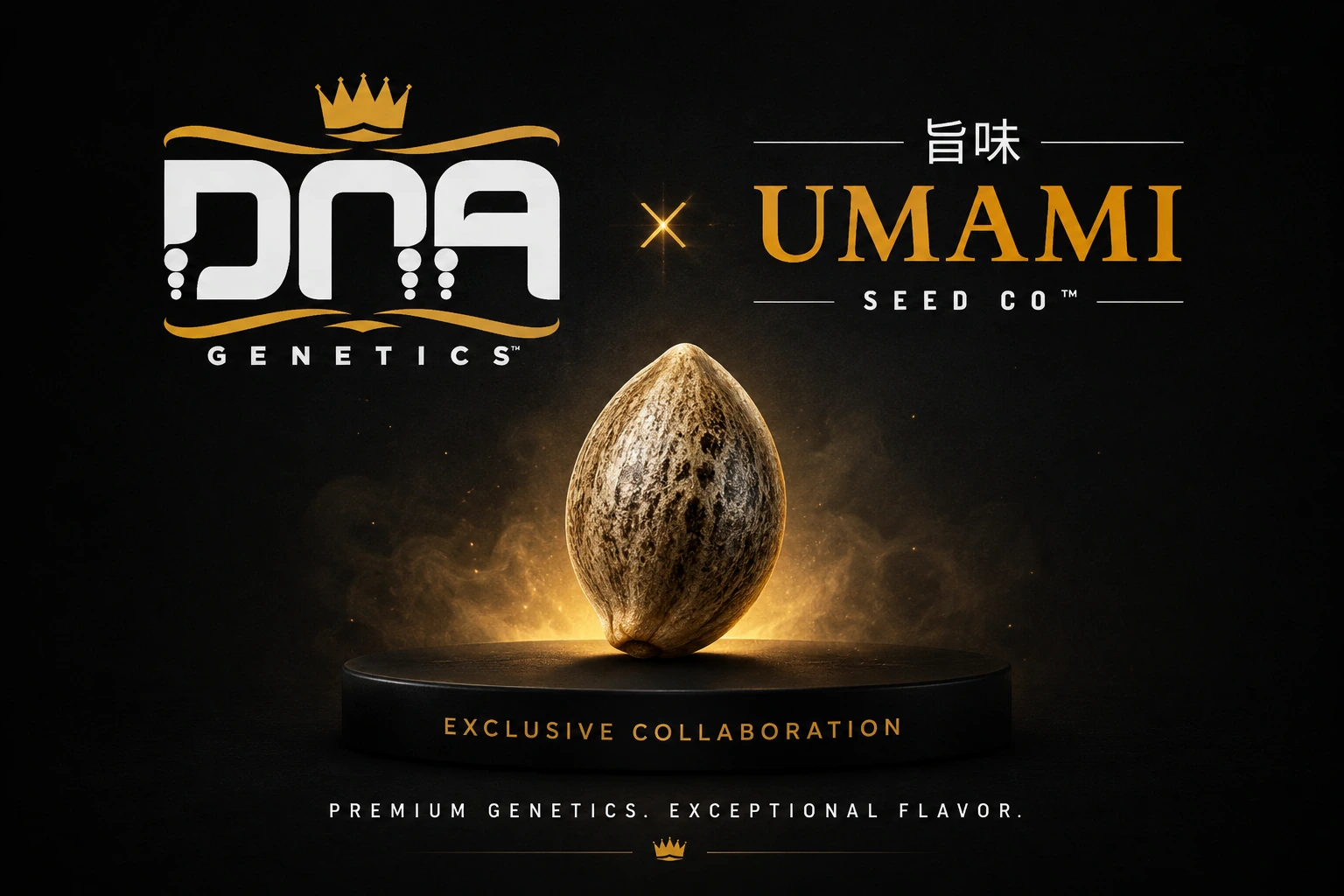 Juice Pack - Umami Seed Co x DNA Genetics