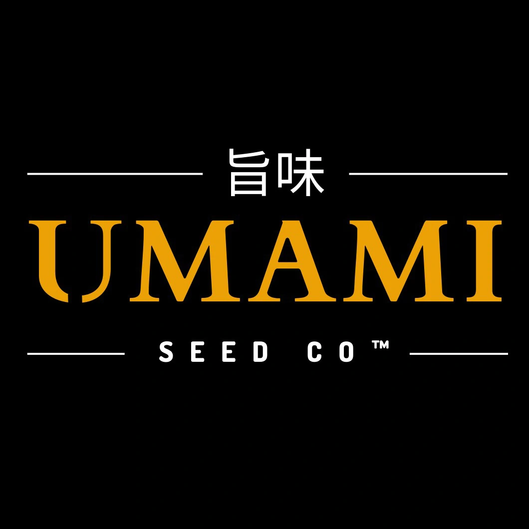 Umami