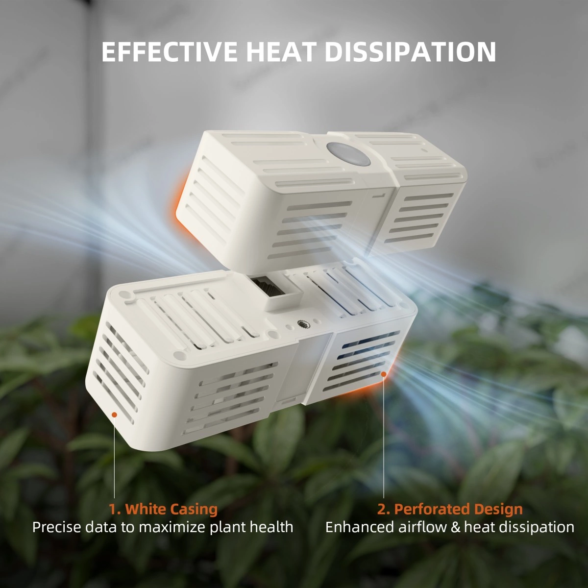 Premium Smart Grow Komplettset 100 × 100 cm – SE5000 & GGS Klimasteuerung