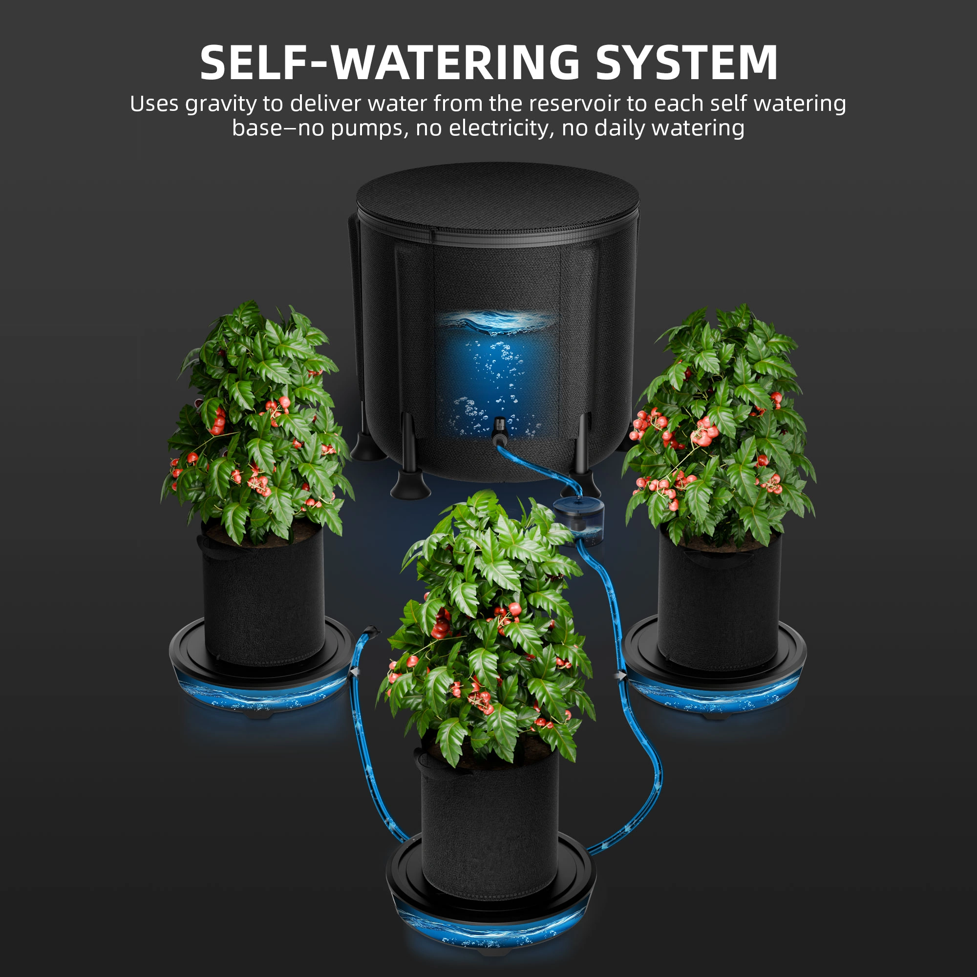 Self Watering System