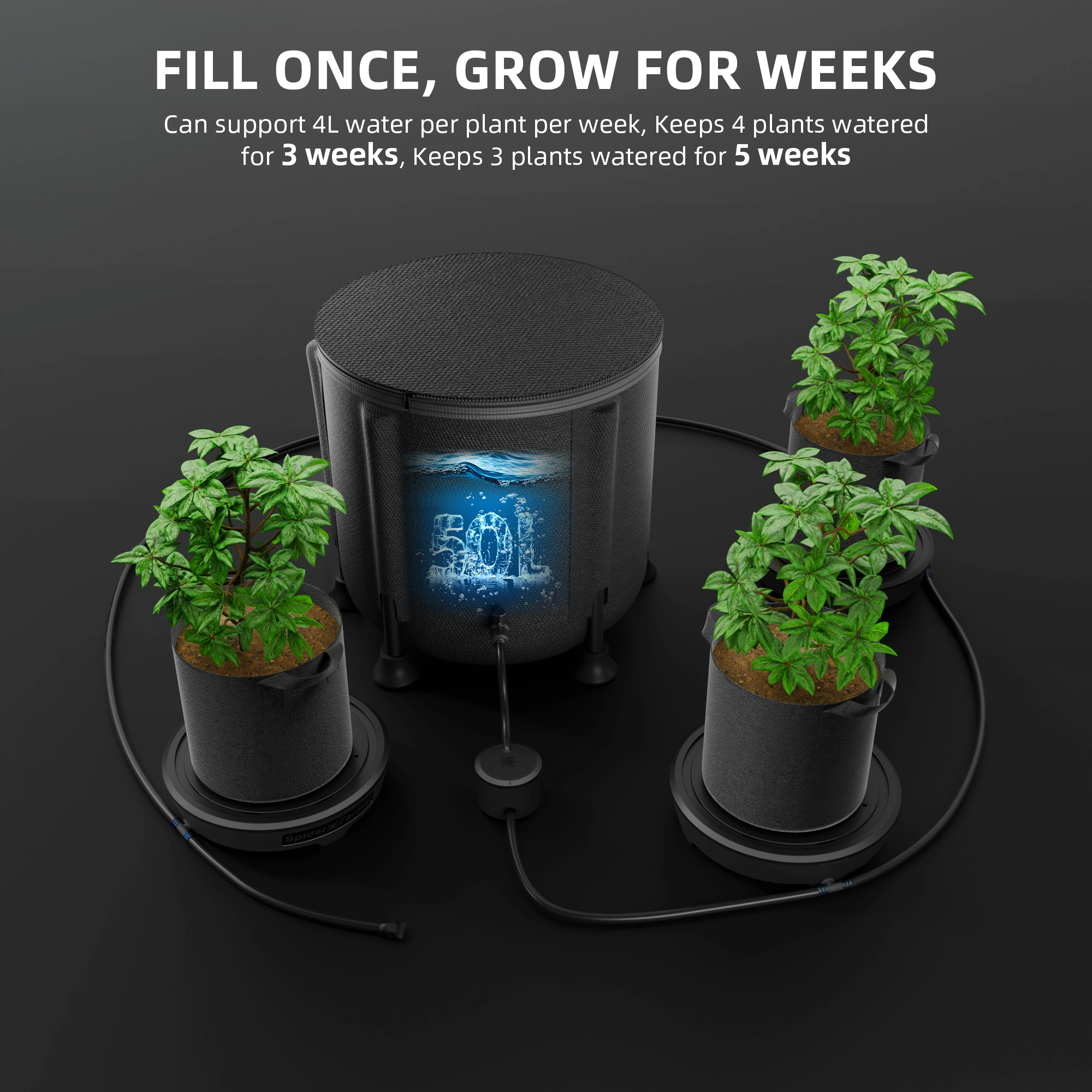 Self Watering System