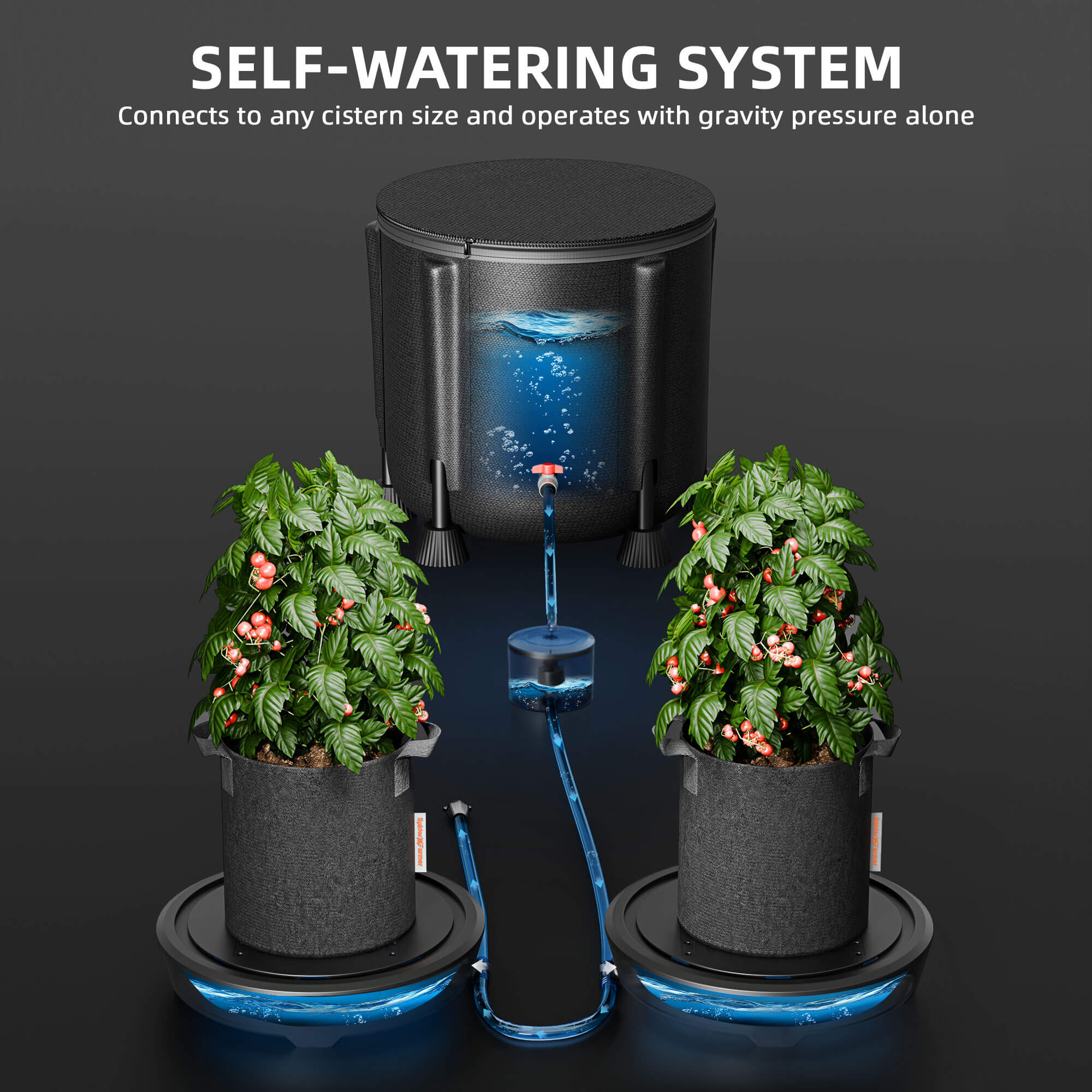 Self Watering System